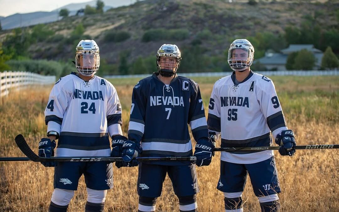 NEW SESSON NEW LOOK.